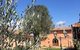 Poggio dei cavalieri